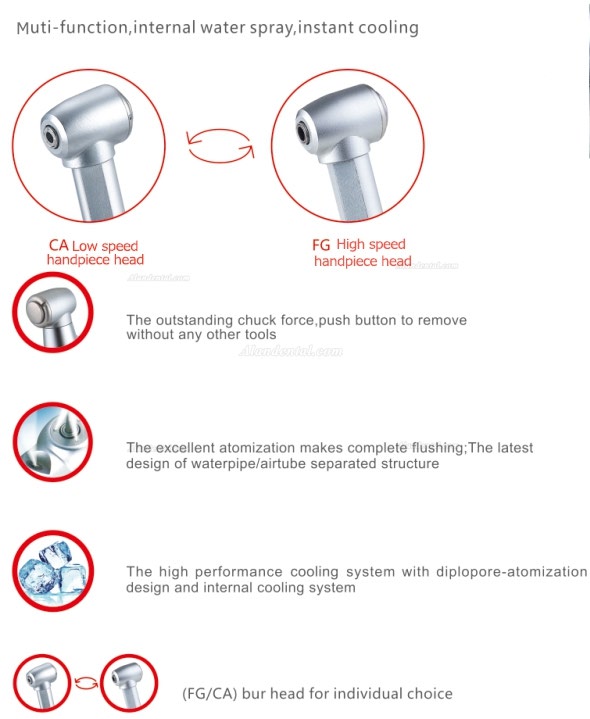 Dental 1020CH 1:1 Inner Water Spray Contra Angle Push Button Handpiece